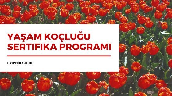 Yaşam Koçluğu Sertifika Programı